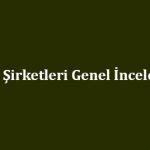 Bahis Şirketleri Genel İncelemesi