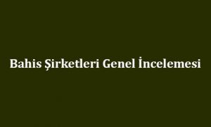 Bahis Şirketleri Genel İncelemesi